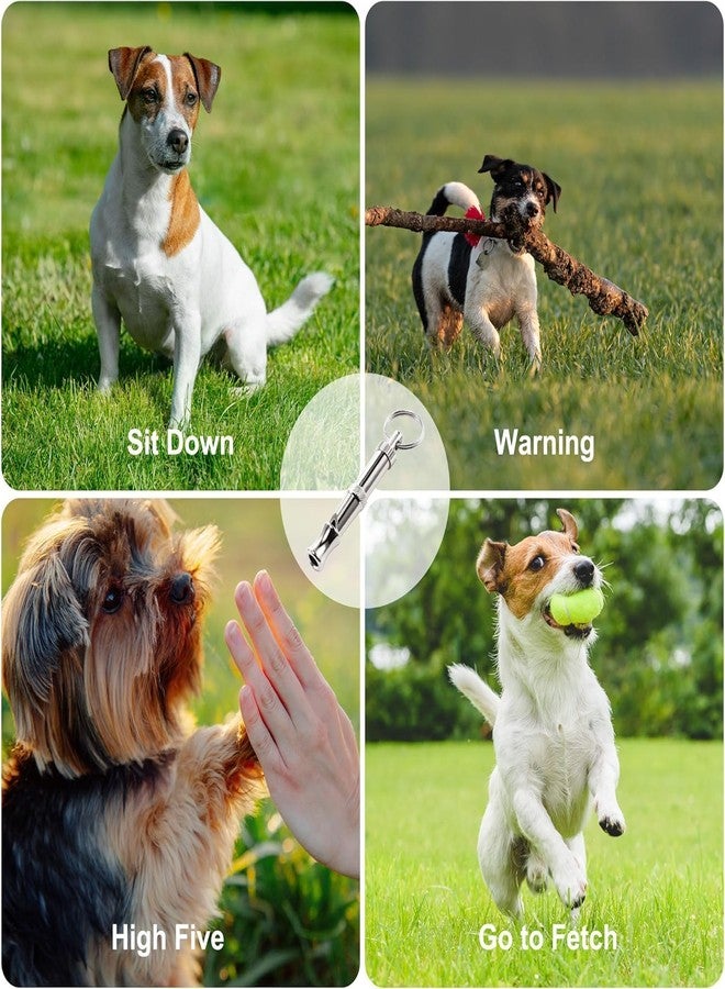 RoverPets Adjustable Dog Whistle to Stop Barking - Training Whistle with Keychain for Puppies, Cats, and Dogs, Silver (1 Pc) - Image 5